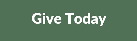 Give Today